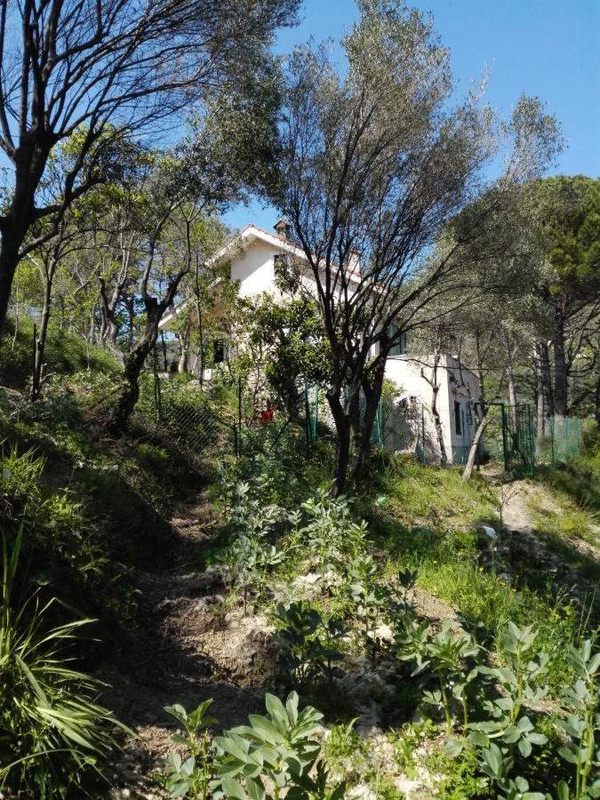 Bed and Breakfast Bella Luminella Noli Exterior foto